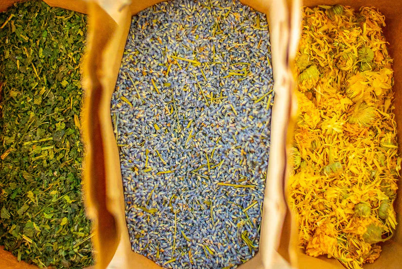 How to Dry Herbs